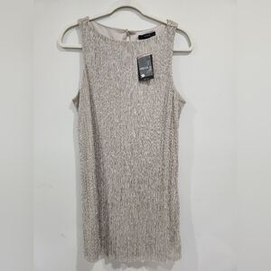 NWT Forever 21 Metallic Silver Dress